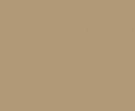 Напольная плитка PERLA GOLDEN BROWN 40.2x40.2 от Venus (Испания)