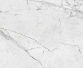Керамогранит Marble Trend Carrara K-1000/MR  60x60 от Kerranova (Россия)
